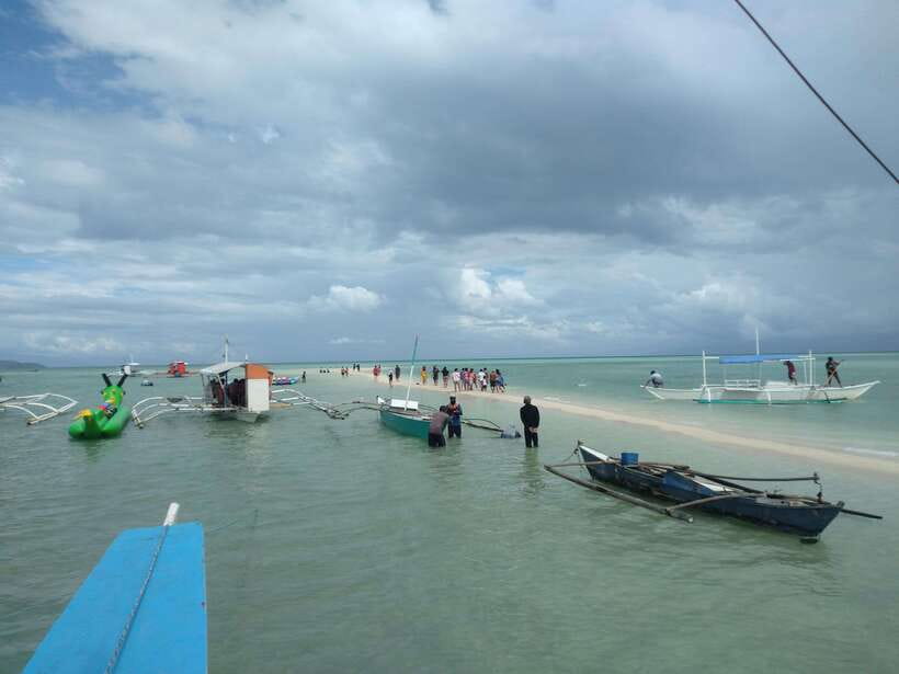 Dumaguete: Dolphin Watching & Manjuyod Sandbar Private Tour - Who should book this tour, and who should skip it