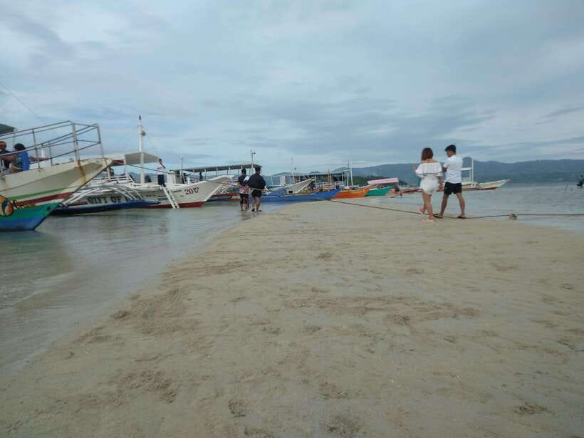 Dumaguete: Dolphin Watching & Manjuyod Sandbar Private Tour - Swimming and snorkeling time: clear water, but not a guarantee of big fish