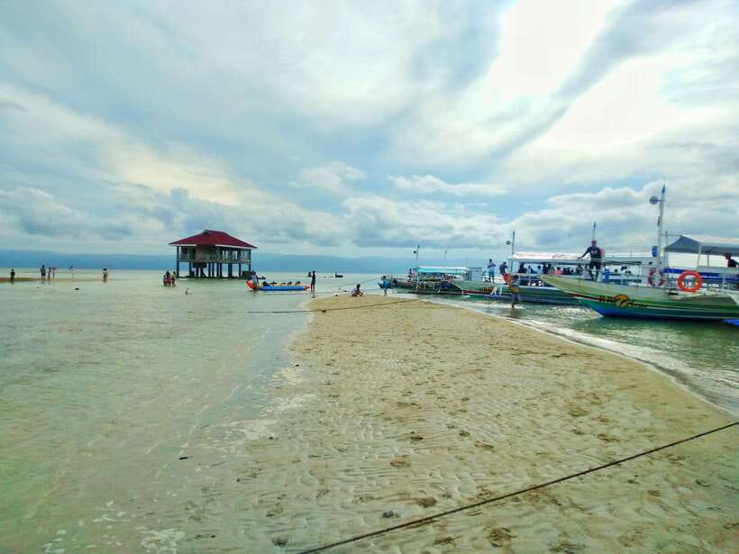 Dumaguete: Dolphin Watching & Manjuyod Sandbar Private Tour - Timing, travel, and why a 10-hour day can feel just right