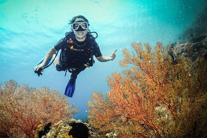Easy Fun Scuba Dive in El Nido - Submariner’s small-group scuba day in El Nido