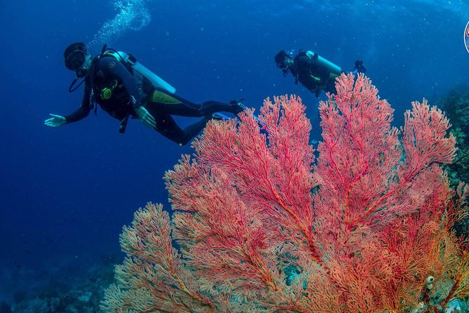 Easy Fun Scuba Dive in El Nido - Equipment, food, and drinks: the stuff that quietly saves money