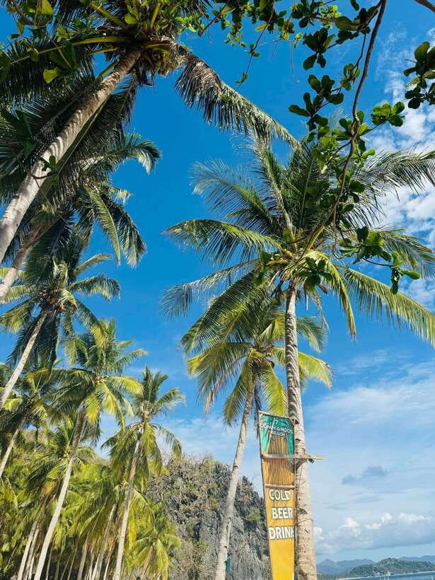 El Nido: Island Hopping TOUR A with Lunch, Transfer & EDTF - Price and value: what’s included, and where extra charges might appear