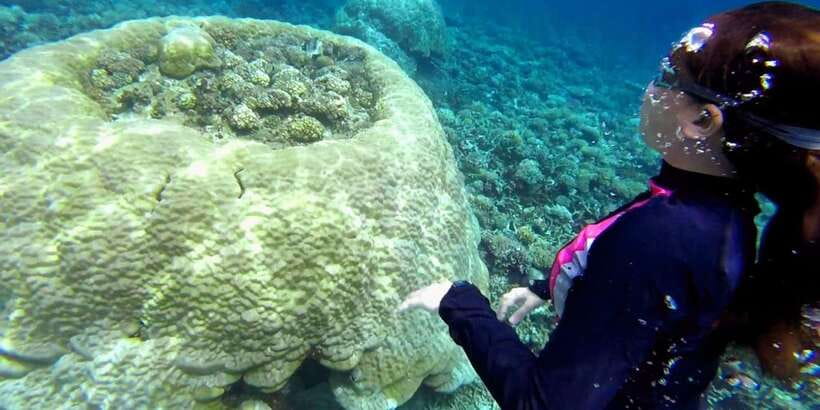 El Nido: Island Hopping Tour B Cudognong Cave & More - Cudognong Cave: WWII stories and the part that takes effort