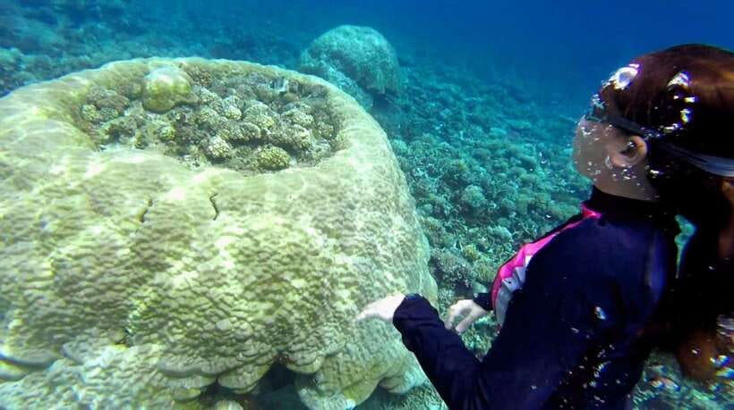 El Nido: Island Hopping Tour B Cudognong Cave & More - Price and what you’re really paying for at $25