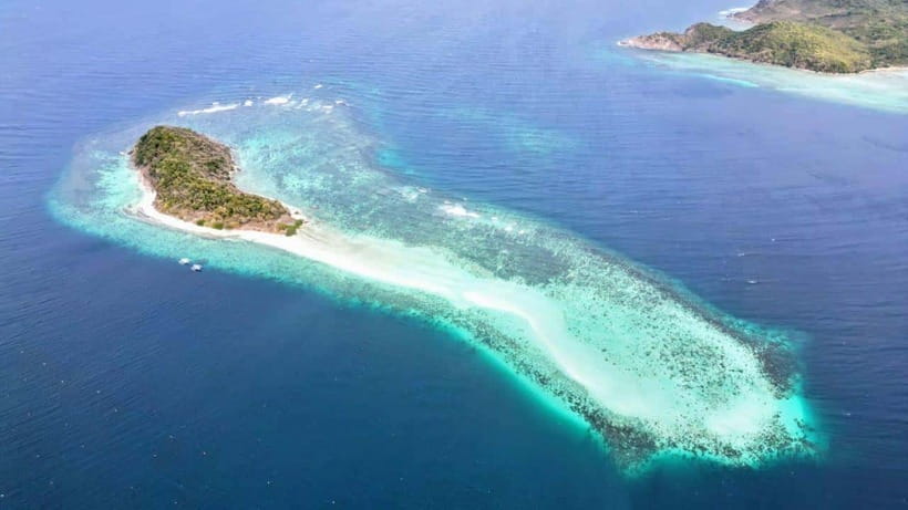 El Nido: Manta Ray Diving Experience in Sibaltan - What to Bring, What’s Not Allowed, and How to Prepare