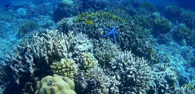 El Nido, Sibaltan: Private Snorkeling & Secret Islands Tour