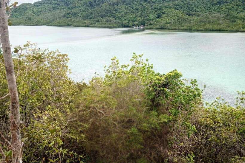 El Nido: Tour B with Snake Island, Cudugnon Cave, and More - Snake Island and Cudugnon Cave in One Day