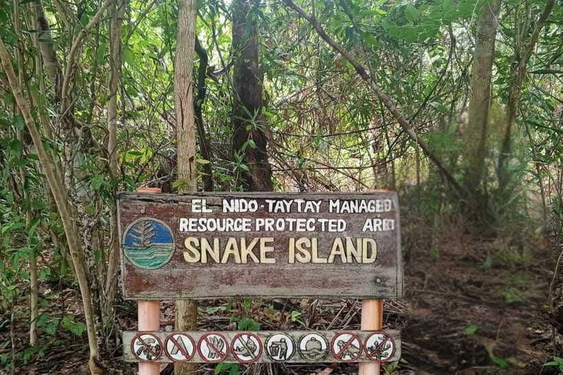 El Nido: Tour B with Snake Island, Cudugnon Cave, and More - Entalula Island White Sand Beach Break