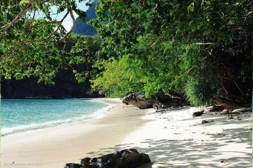 El Nido: Tour D with Cadlao Lagoon, Paradise Beach & More - What’s Included, What’s Not, and How to Avoid Surprise Costs