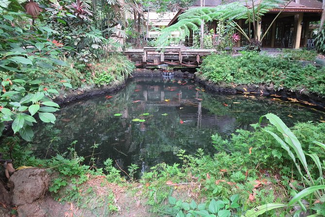 Escape to Enchanting Hidden Valley Springs! with Transfers*** - Small group up to 10, plus how guides like Andrei and Eddy add value