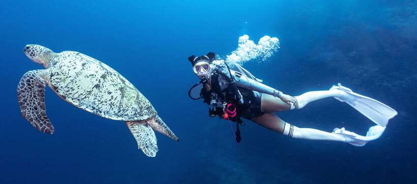 Fisheye Divers: Discover Scuba Diving - Why This Boracay Discover Scuba Session Works for First-Timers