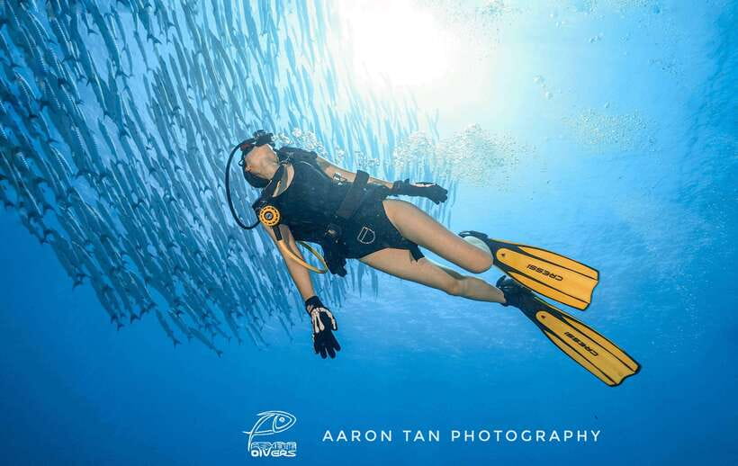 Fisheye Divers: Discover Scuba Diving - Before You Go In: Briefing, Documents, and Getting Your Bearings