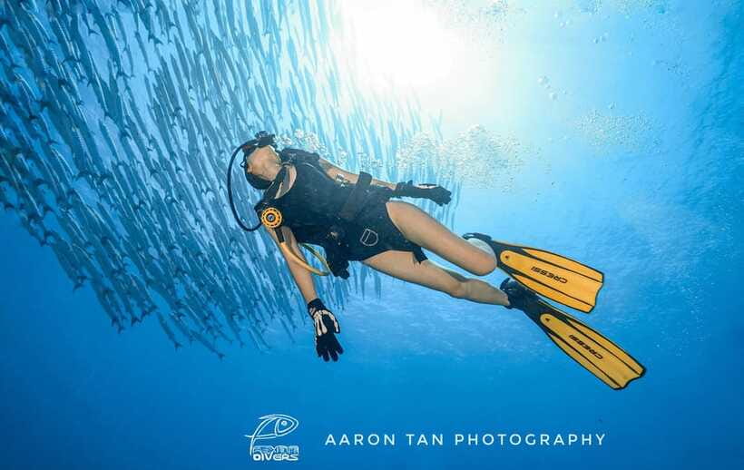 Fisheye Divers: Discover Scuba Diving - The Reef Part: 45 Minutes at the Coral Garden