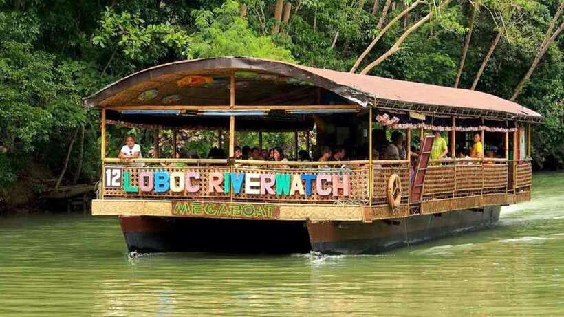 From Bohol: Countryside Private Day Tour - Tarsier and Butterfly Sanctuary: small animals with big conservation vibes