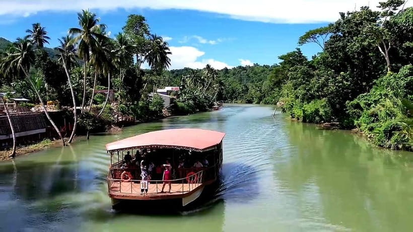 From Cebu: Bohol Countryside & Buffet Lunch Exclusive Tour - Key highlights for a smooth Cebu to Bohol day