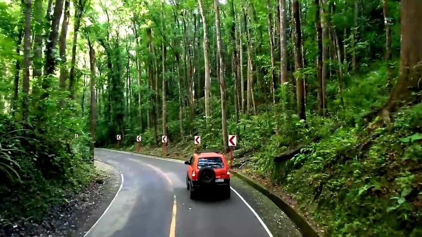 From Cebu: Bohol Countryside & Buffet Lunch Exclusive Tour - From Cebu to Tubigon by ferry, with real coastal time