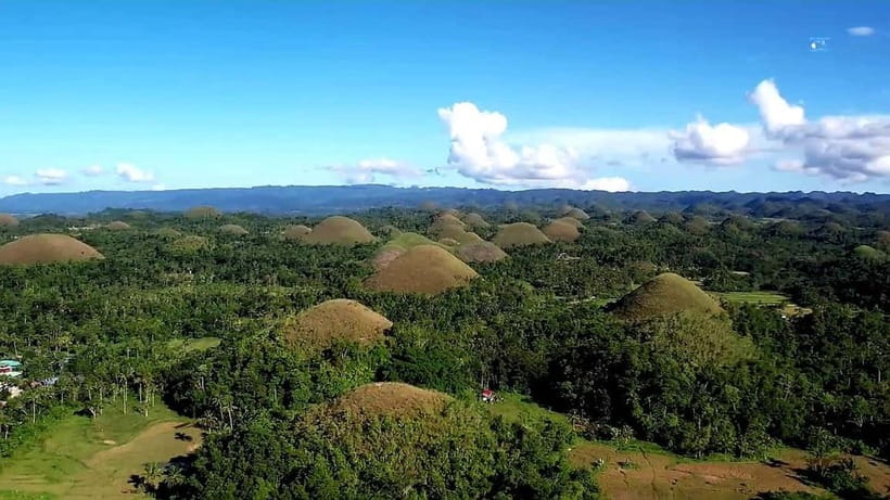From Cebu: Bohol Countryside & Buffet Lunch Exclusive Tour - What makes the experience feel smooth, especially with the guide