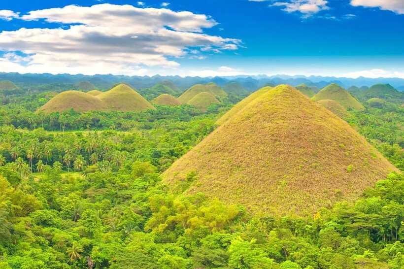 From Cebu: Bohol Countryside Private Tour with Buffet Lunch - Who This Private Tour Is Best For