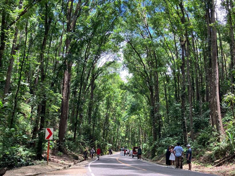 From Cebu City: Bohol Island Highlights in One Day - Optional ATV ride: for the people who want more than sightseeing