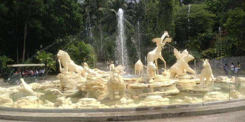 From Cebu City: Cebu Safari and Adventure Park Day Tour - Price and value of a $90 full-day safari with private transport