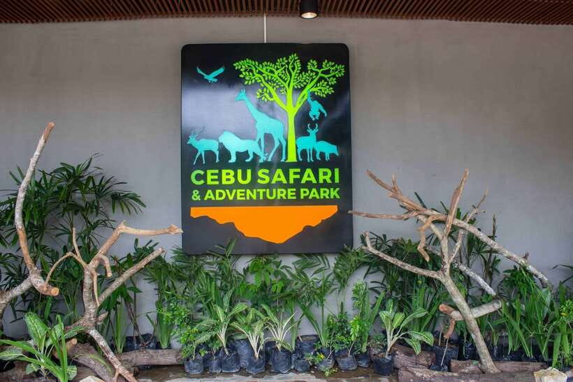 From Cebu City: Cebu Safari and Adventure Park Day Tour - African Savanna and the self-guided animal route