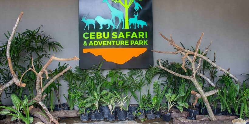From Cebu City: Cebu Safari and Adventure Park Day Tour - Bird show and animal interactions, fun with one caveat