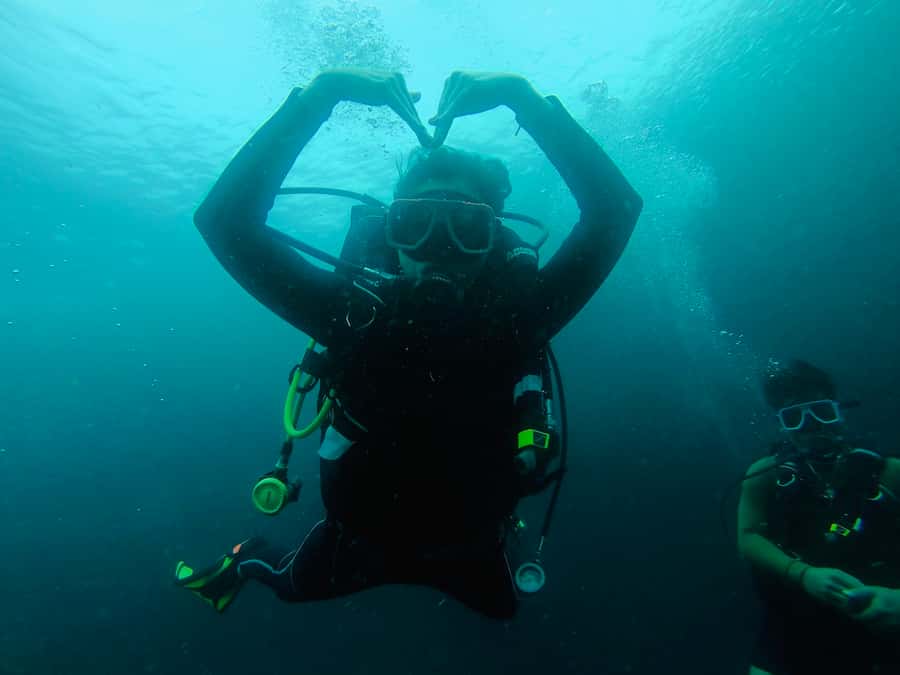 From Cebu City: Scuba Diving with Whale Sharks Trip in Oslob - Gear, orientation, and your first controlled minutes in the water