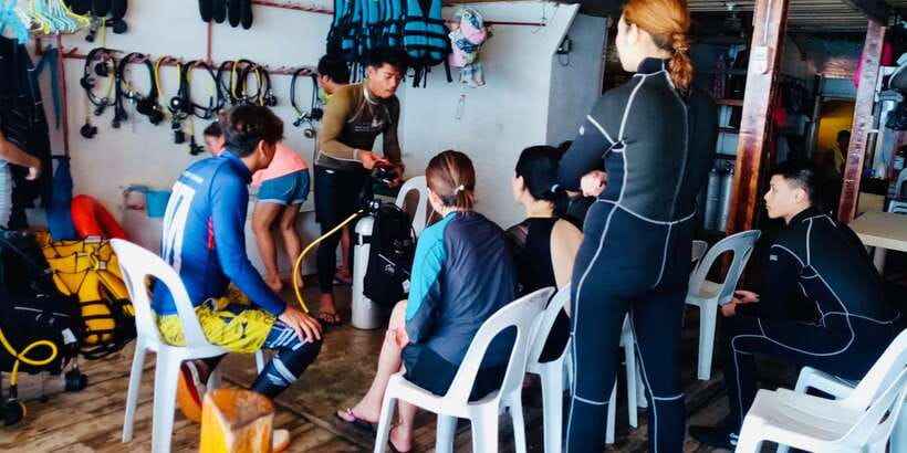 From Cebu City: Scuba Diving with Whale Sharks Trip in Oslob - Your whale-shark encounter: seeing giants up close, without the surface chaos