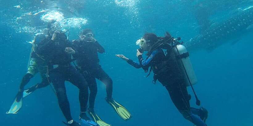From Cebu City: Scuba Diving with Whale Sharks Trip in Oslob - How long you’ll actually be underwater (and what you should do with the rest of the day)