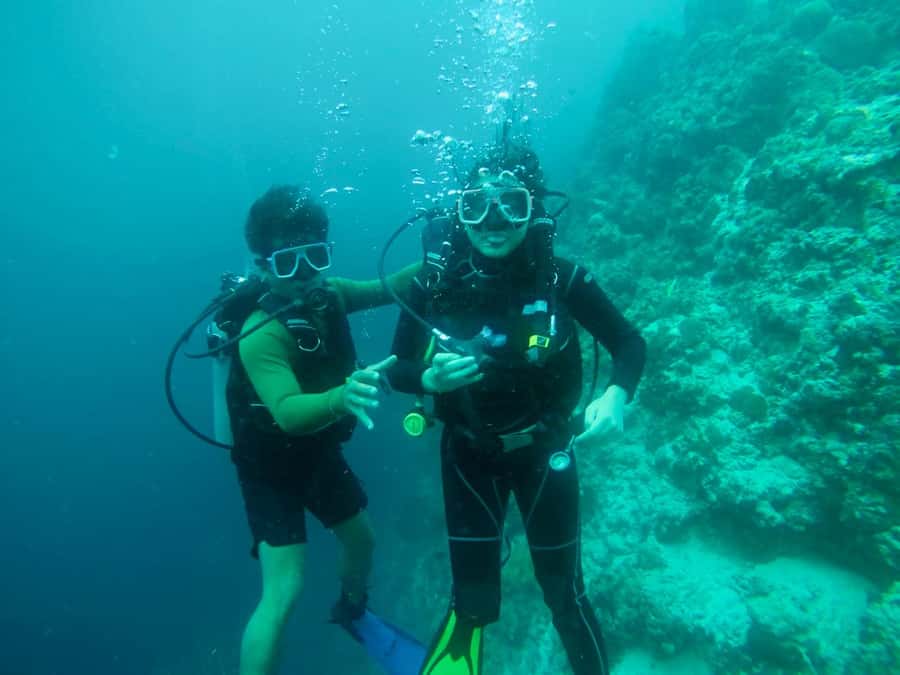 From Cebu City: Scuba Diving with Whale Sharks Trip in Oslob - Price and value: is $172 worth it?