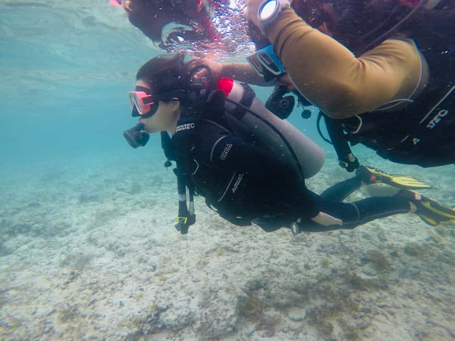 From Cebu City: Scuba Diving with Whale Sharks Trip in Oslob - Who this tour suits best (and who should rethink it)