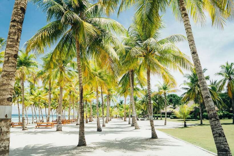 From Cebu: Day Trip to Bohol Highlights - Loboc River Cruise Lunch: Food, Music, and a Much-Needed Break
