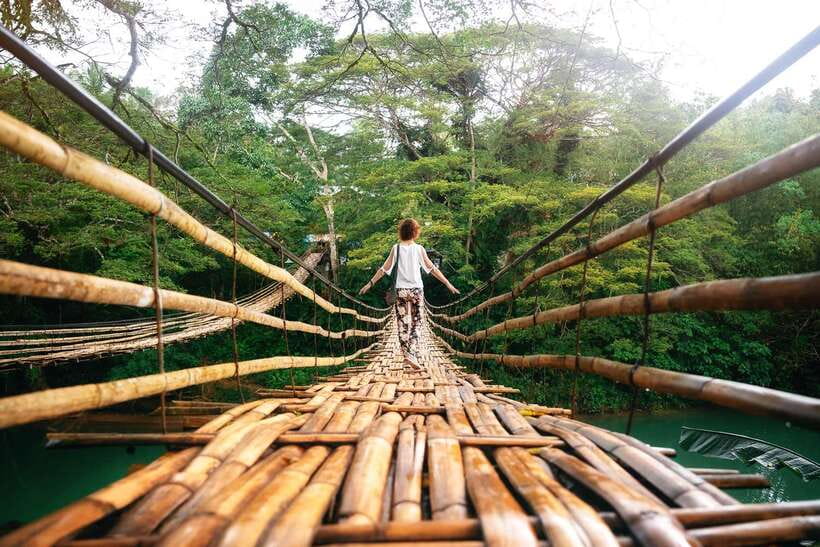 From Cebu: Day Trip to Bohol Highlights - Tarsier Viewing: The Moment That Feels Most Like a Find