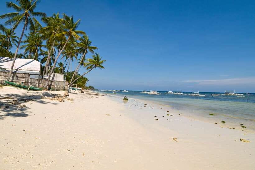From Cebu: Day Trip to Bohol Highlights - Price and Value: Is $190 a Good Deal for This Much Bohol?