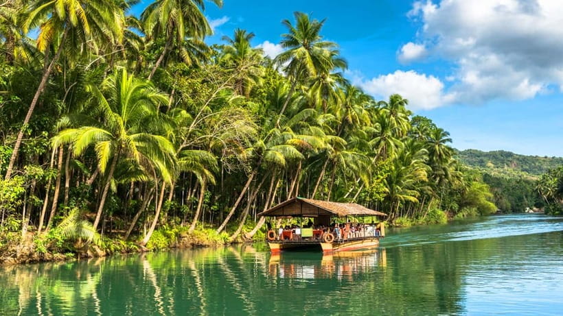 From Cebu: Full-Day Bohol Excursion - Tarsier Viewing, The Best “Tiny Wildlife” Stop on a Packed Day