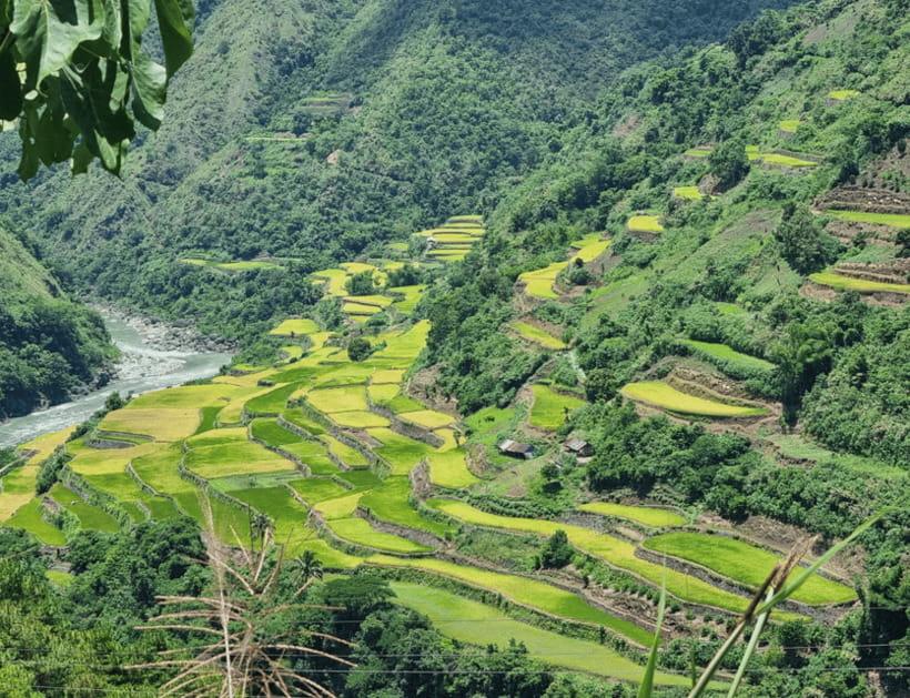 From Manila: 2-Day Buscalan Tour with Apo Whang-od - Potential hiccups: weather, timing, and group coordination