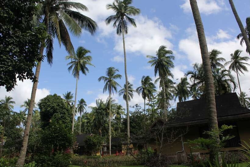 From Manila: Day Tour to Enchanting Hidden Valley - Meet Your English Guide and Get Oriented Fast