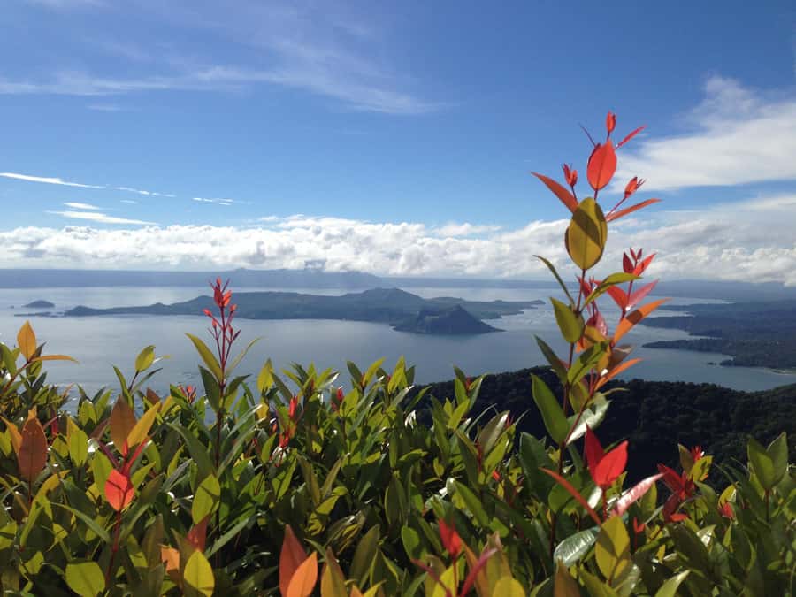 From Manila: Taal Volcano and Lake Boat Sightseeing Tour - Quick hits before you go
