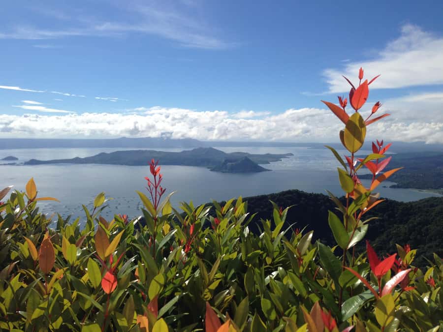 From Manila: Taal Volcano Island & Pagsanjan Falls Day Tour - Optional boat ride around Volcano Island: when it’s worth paying extra