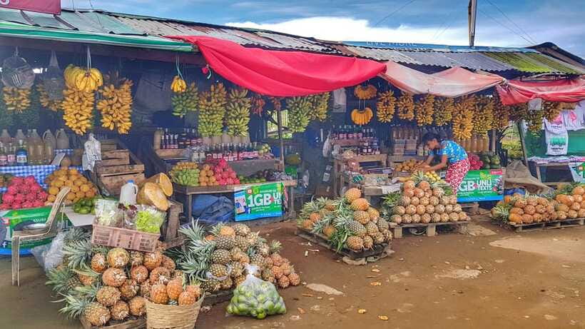 From Manila: Tagaytay Countryside Wonders: A Half-Day Tour - FAQ