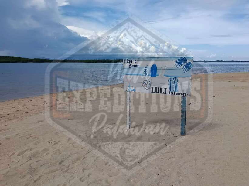 From Puerto Princesa: Honda Bay Island Hopping Full-Day Tour - Starfish Island: Shore Time, Sea Life, and the Picnic Lunch