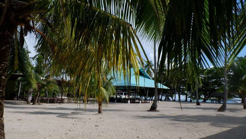From Puerto Princesa: Honda Bay Island Hopping Full-Day Tour - Cowrie Island: Where the Beach Moment Actually Happens