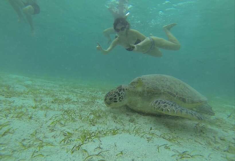 From Puerto Princesa: Port Barton & Island Hopping Day Trip - Port Barton’s Calm Water, Not the Crowds: Why This Day Trip Works