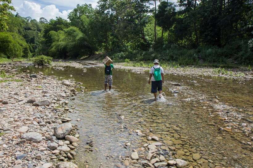 From Puerto Princesa: Trek to Batak Tribe Village - The Hike to the Village: Trails, Heat, and River Crossings