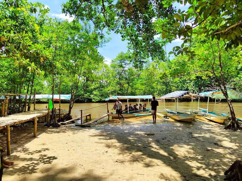 From Puerto Princesa: Underground River Guided Day Trip - Key Highlights You’ll Feel in Real Time