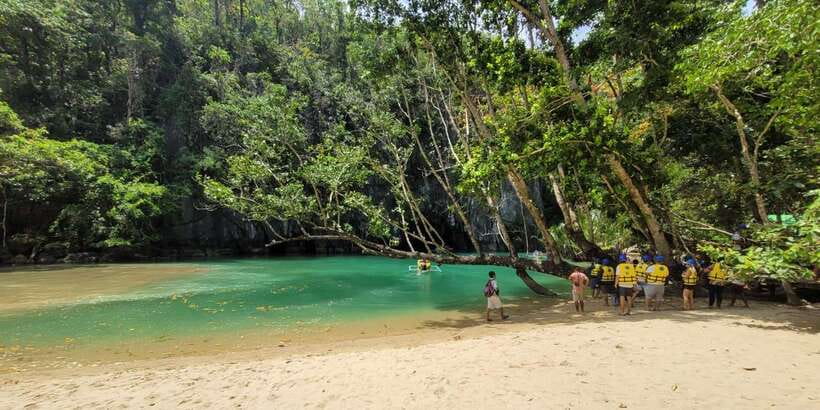 From Puerto Princesa: Underground River Guided Day Trip - The Wildlife Viewing Stop and the Mountain-to-Sea Story