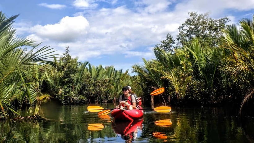 From Tagbilaran City/Panglao Island: Bohol Mangrove Kayaking - How the kayak lessons work for beginners, and what you should ask yourself first