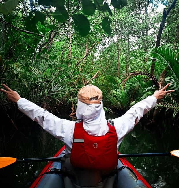 From Tagbilaran City/Panglao Island: Bohol Mangrove Kayaking - Who should book, and who should skip this Abatan River paddle