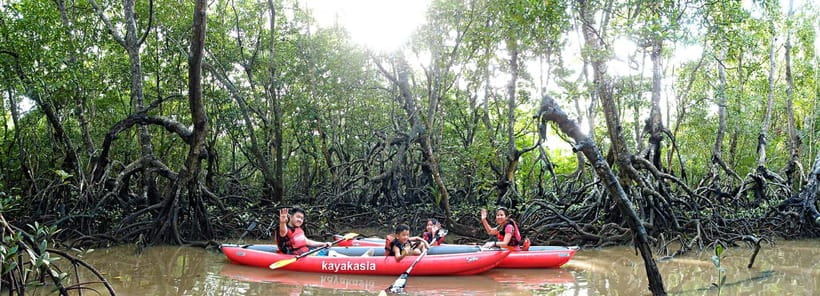 From Tagbilaran City/Panglao Island: Bohol Mangrove Kayaking - The 5-hour rhythm: pickup, paddling time, and the snack break you will actually want
