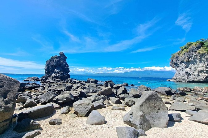 Full Day Apo Island Tour from Dumaguete - Corals, fish, and the shallow-water wow factor
